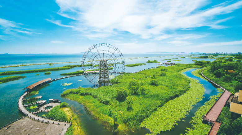 太湖湿地